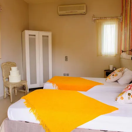 Golden Sun Boutique 3* Malia (Crete)